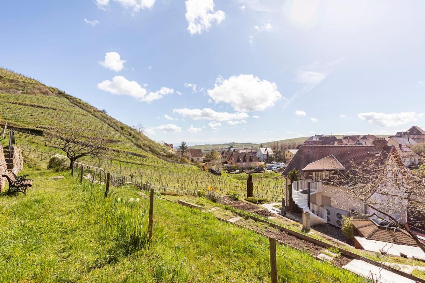 Les Glycines Du Sommerberg Niedermorschwihr Eksteriør billede
